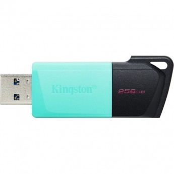 Флешка KINGSTON 256GB DTXM/256GB Флешка KINGSTON 256GB DTXM/256GB