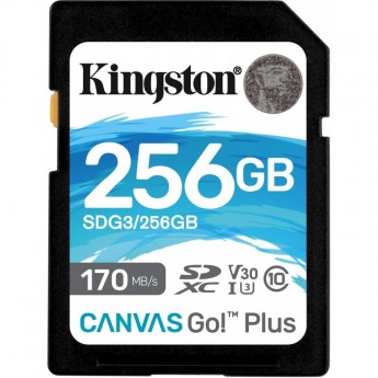 Карта памяти KINGSTON 256GB SDG-256GB Карта памяти KINGSTON 256GB SDG-256GB